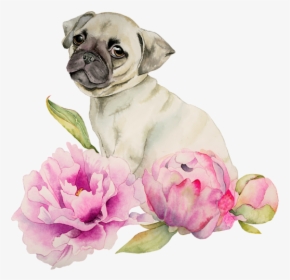 Watercolor Paintings Of Pugs, HD Png Download, Free Download