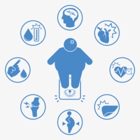 Major Health Risks - Obesity Icon, HD Png Download, Free Download