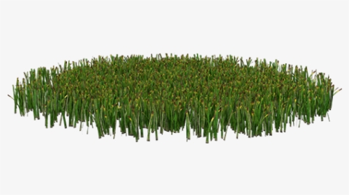 Grass Patch Png, Transparent Png, Free Download