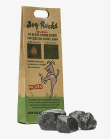 Dog Rocks, HD Png Download, Free Download