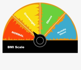 Body Mass Index Png, Transparent Png, Free Download