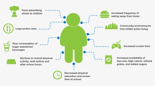 Childhood Obesity Causes, HD Png Download, Free Download