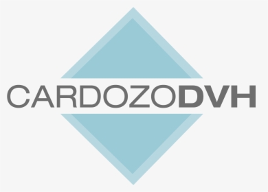 Dvh Cardozo - Camtasia Studio, HD Png Download, Free Download