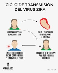 Se Transmite El Zika, HD Png Download, Free Download