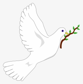Peace Dove Png, Transparent Png, Free Download