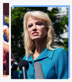 Taylor Swift And Kellyanne Conway - Conway What's Your Ethnicity Meme, HD Png Download, Free Download