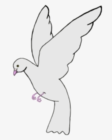 Paloma Clip Arts - Pigeons And Doves, HD Png Download, Free Download