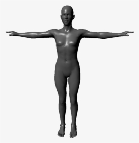 Human Body - Boy Body 3d Model, HD Png Download, Free Download