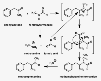 Methamphetamine Leuckart Synthesis - H Hn Ch3 Ch3, HD Png Download, Free Download