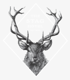 Deer Head Drawing, HD Png Download, Free Download