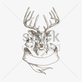 Drawn Stag Stock Market - Sketch, HD Png Download, Free Download