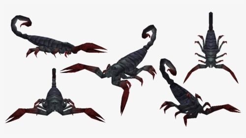Ark Survival Evolved Scorpion - Pulmonoscorpius, HD Png Download, Free Download