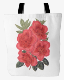 Azalea Png, Transparent Png, Free Download