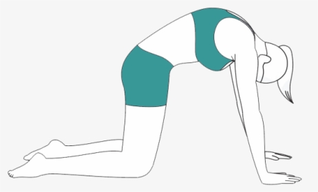 Yoga For Back Pain - Illustration, HD Png Download, Free Download