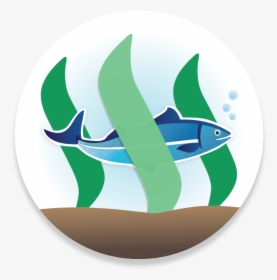Logo Ms - Minnow Support Project, HD Png Download, Free Download