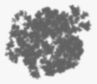 Tree Shadow Png - Tree, Transparent Png, Free Download