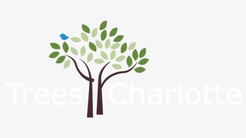 Treescharlottelogo-white 2b - Plant Tree Logo Png, Transparent Png, Free Download