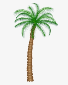 Date Palm Fruit Tree Clipart - Palm Tree Transparent Background, HD Png Download, Free Download