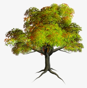 Autumn Png Tree Clipart - Png Format Tree Clipart Png, Transparent Png, Free Download