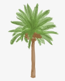 Date Palm Tree Cartoon, HD Png Download, Free Download