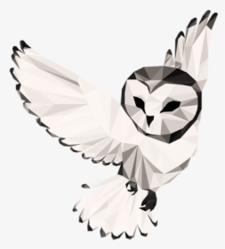 Night Owl Collective - Barn Owl, HD Png Download, Free Download