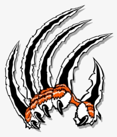 Claw Clip Art - Tiger Claws Clipart, HD Png Download, Free Download