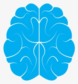 Brain, Icon, Human, Background, Idea, Symbol, Design - Brain Icon Transparent Background, HD Png Download, Free Download