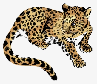 Baby Jaguar Png Transparent Image - Jaguar Clipart Png, Png Download, Free Download