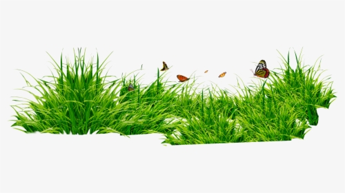 Grass Png Image, Transparent Png, Free Download