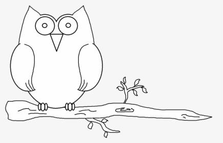 Transparent Owl - Illustration, HD Png Download, Free Download