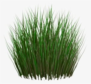 Grass Png Image, Transparent Png, Free Download