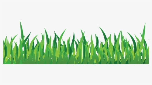 Grab And Download Grass Png Image Without Background - Cartoon Grass,  Transparent Png - kindpng
