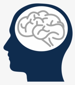 Person With Brain, HD Png Download, Free Download