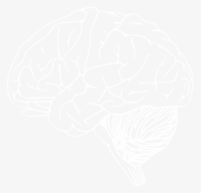 Transparent Brain Png - White Brain Outline Png, Png Download, Free Download