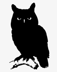 Silhouette Owl, HD Png Download, Free Download