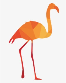 Prudential Plc, Incorporated And With Its Principal - Greater Flamingo, HD Png Download, Free Download