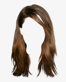 Hair Wig Png - Brown Hair Wig Transparent, Png Download, Free Download