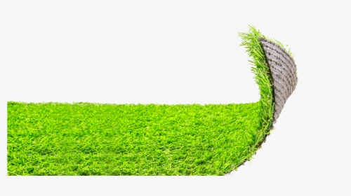 Roll Of Artificial Grass Png, Transparent Png, Free Download