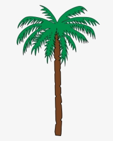 Transparent Plam Tree Png - Cartoon Palm Tree, Png Download, Free Download