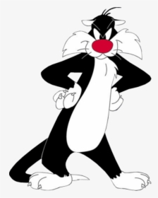 Sylvester Looking Seriously-fd429 - Sylvester Looney Tunes, HD Png Download, Free Download