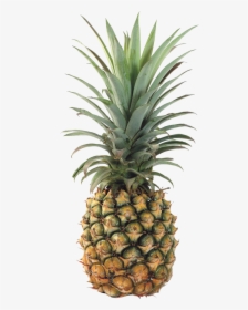 Pineapple Transparent Background - Pine Apple, HD Png Download, Free Download