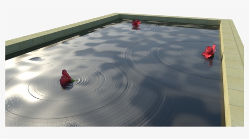 Pool Water Ripple Effect - V-ray, HD Png Download, Free Download