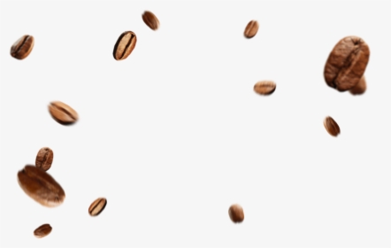 Coffee Beans Png - Png Clipart Coffee Bean Png, Transparent Png, Free Download