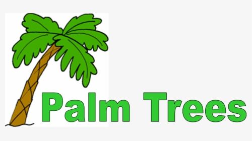Transparent Plam Tree Png - Palm Tree Clip Art, Png Download, Free Download