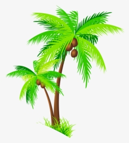 Palm Drawing At Getdrawings - Clip Art Coconut Tree Png, Transparent Png, Free Download