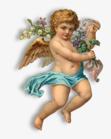 Angel Png Image, Transparent Png, Free Download