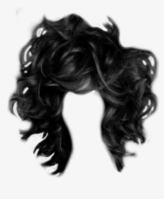 Wildhair Wig Hair Burnett Black Party Costume Disguise - Long Wild Hair Png Transparent, Png Download, Free Download