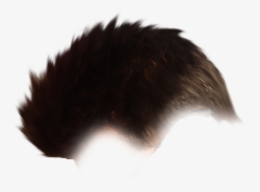 Hair Png Fireball Manipulation Editing Background - Echidna, Transparent Png, Free Download