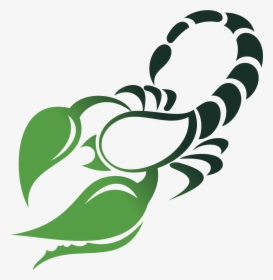 Green Scorpio Symbol Png Image - Sun Signs, Transparent Png, Free Download