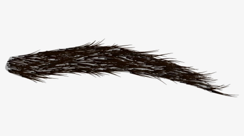Angry Eyebrows Png, Transparent Png, Free Download